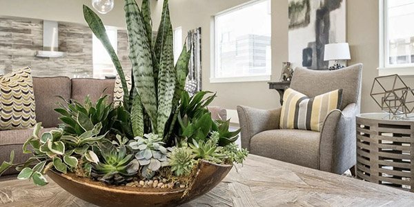 Сочетание вертикального и горизонтального озеленения в фитодизайне дома